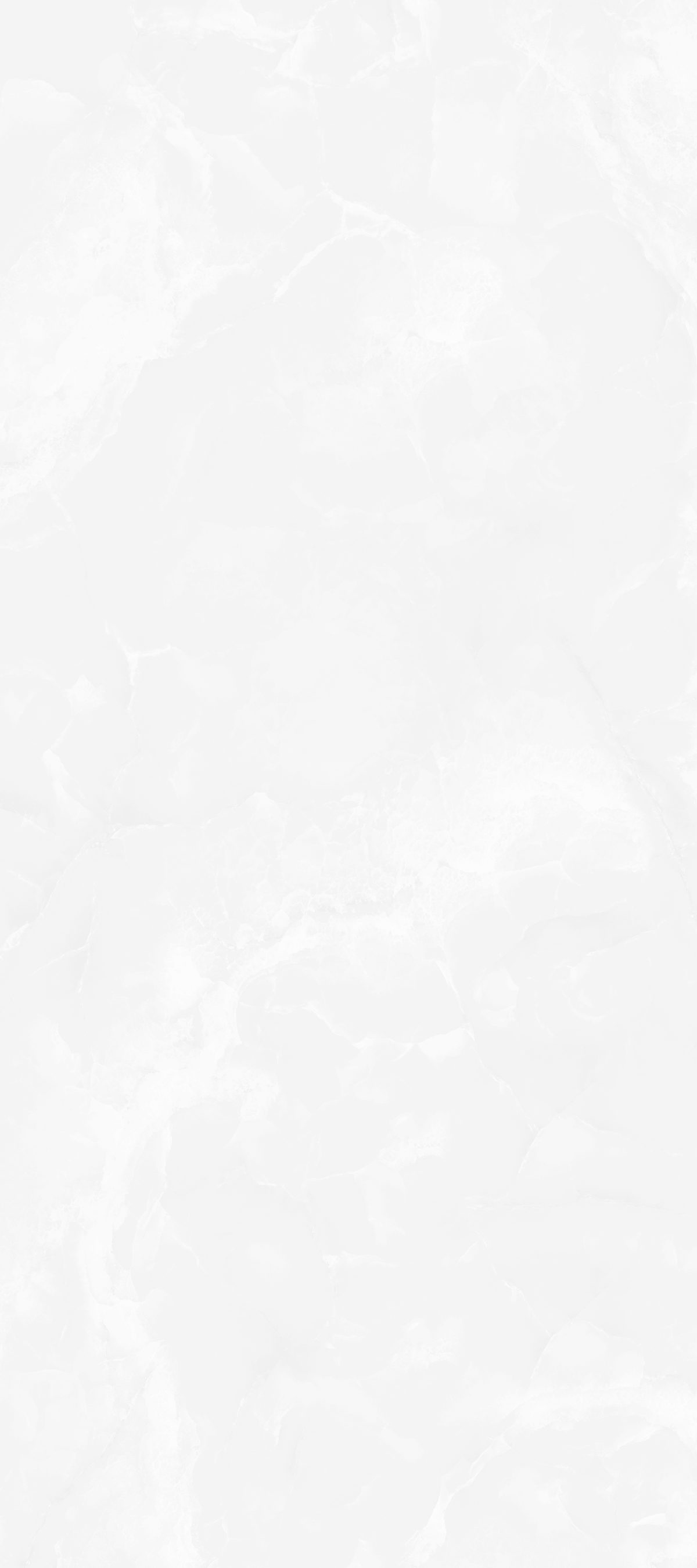 شلی