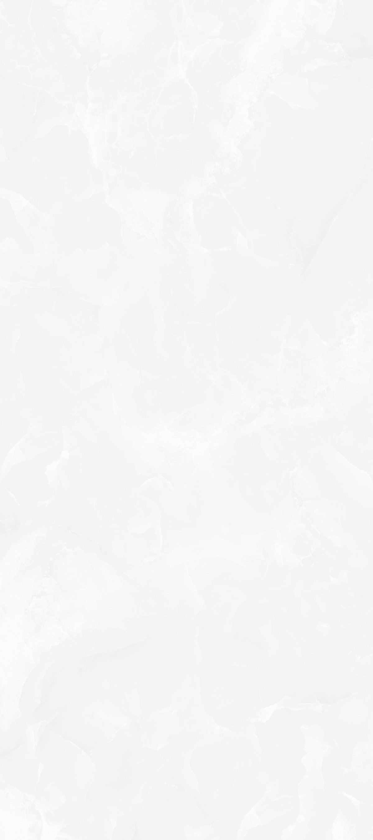 شلی