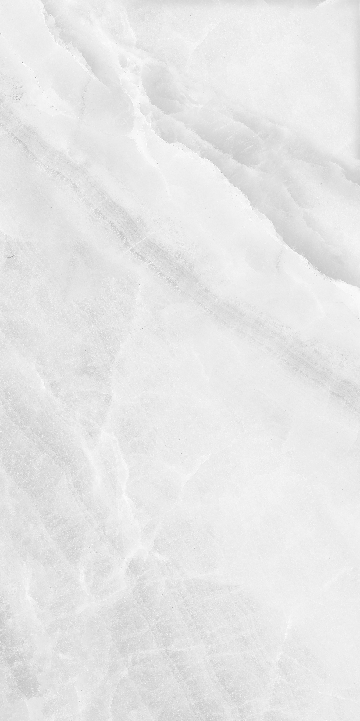 ماربلا طوسی 2 گالری دانژه