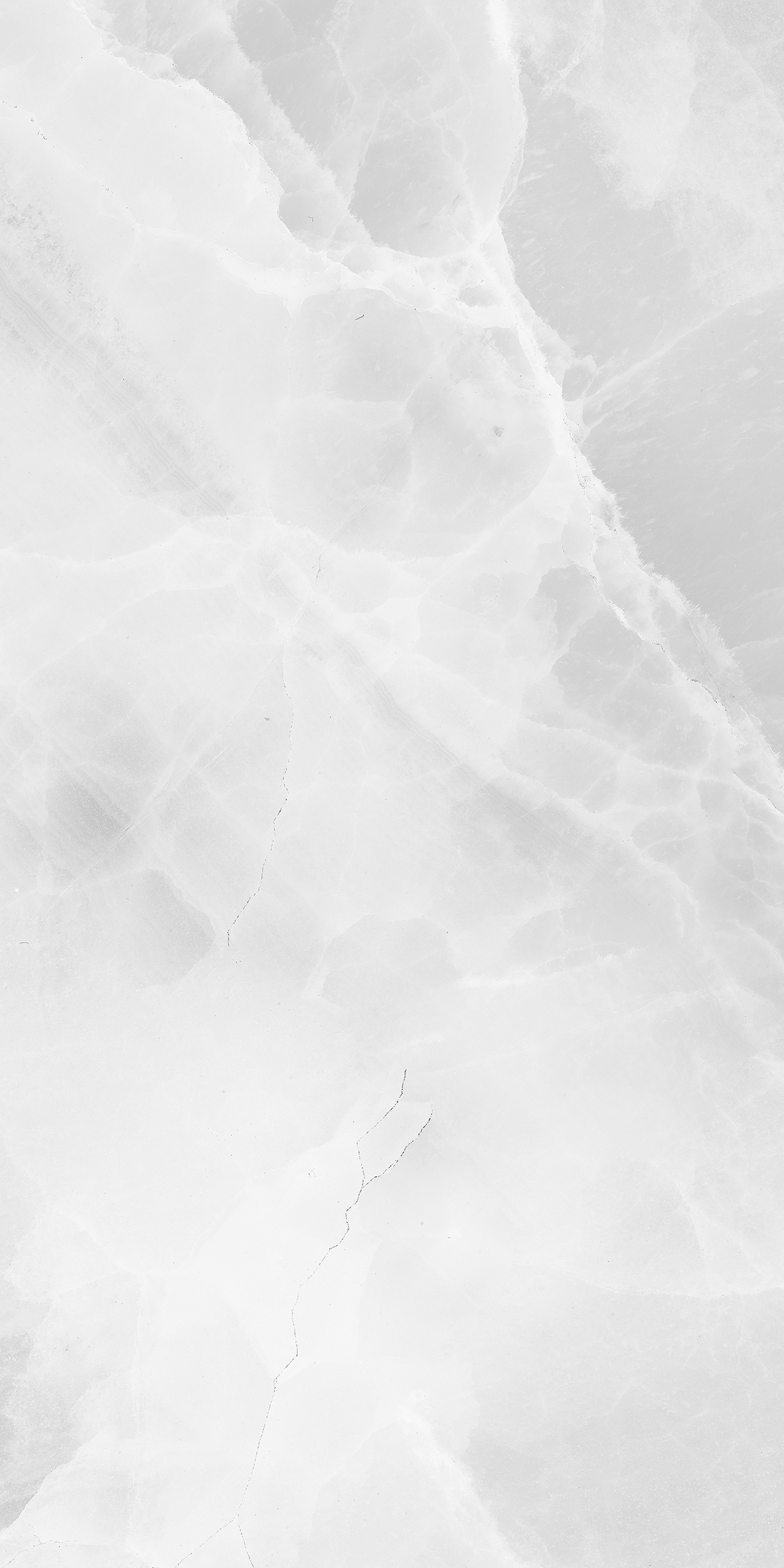 ماربلا طوسی 3 گالری دانژه